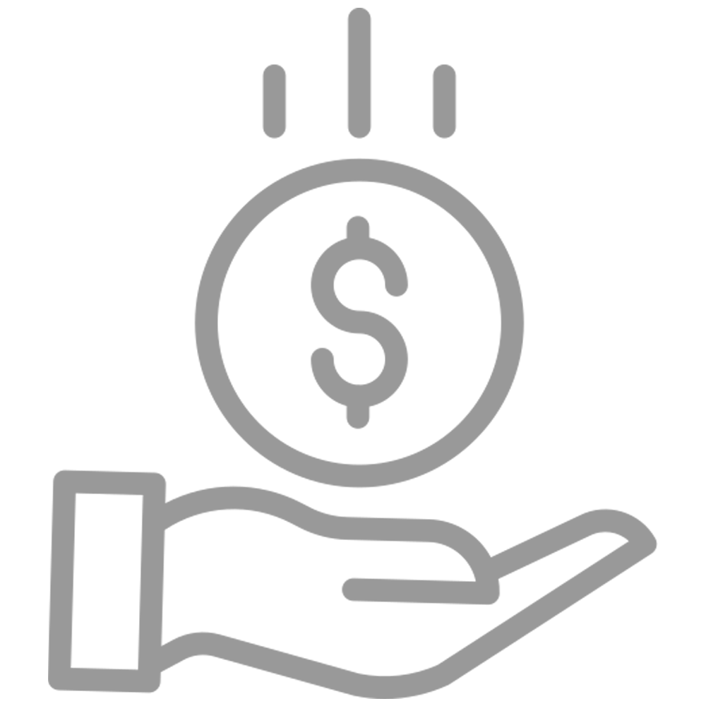 A hand holding a coin Icon